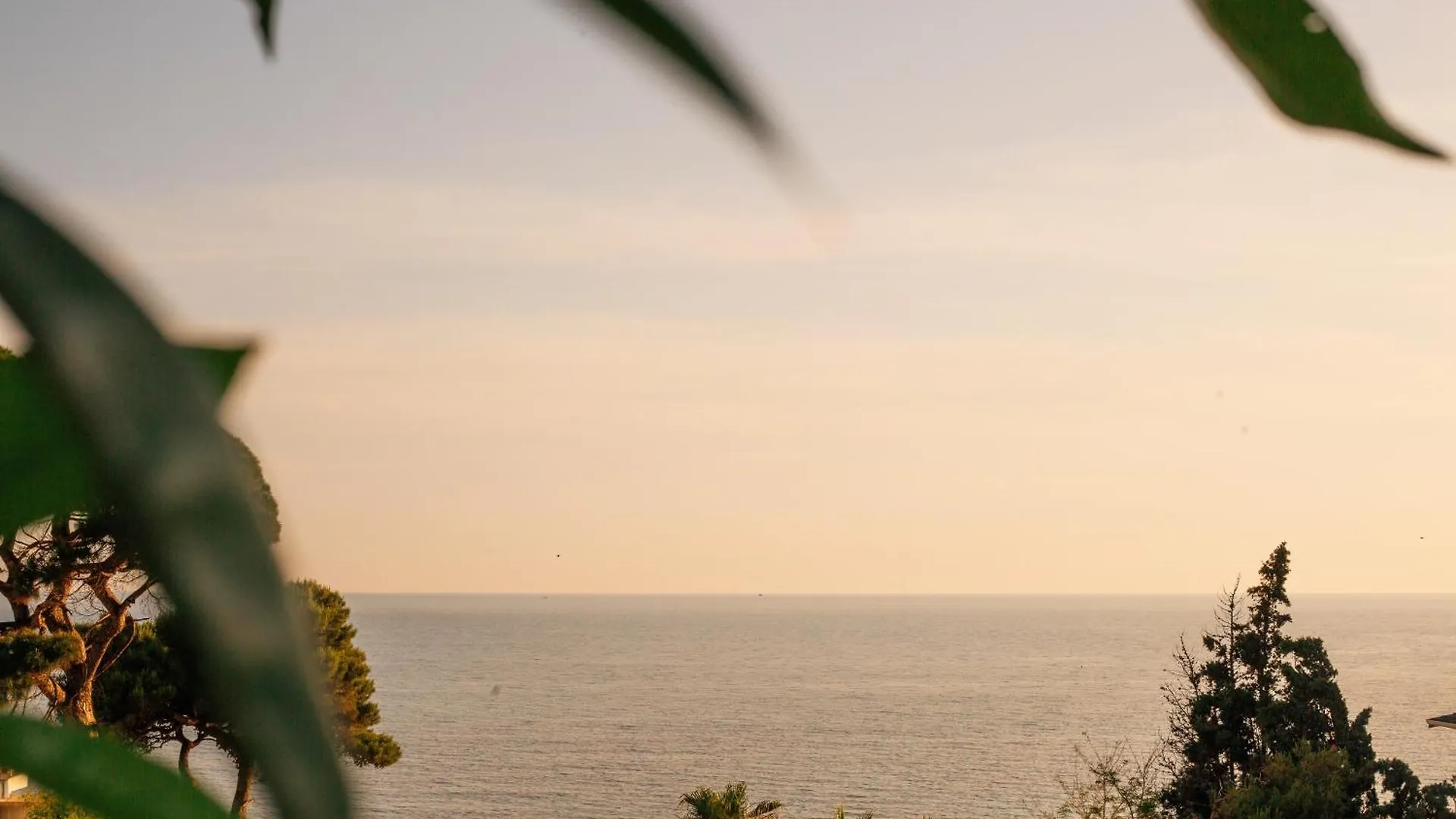 White Hill Hotel, Spa & Conferences Δυρράχιο 4*,  Αλβανία